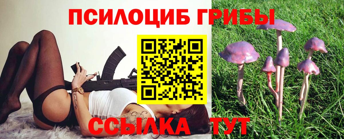 даркнет сайт  Галлюциногенные грибы GOLDEN TEACHER  Вход с VPN  Алатырь 