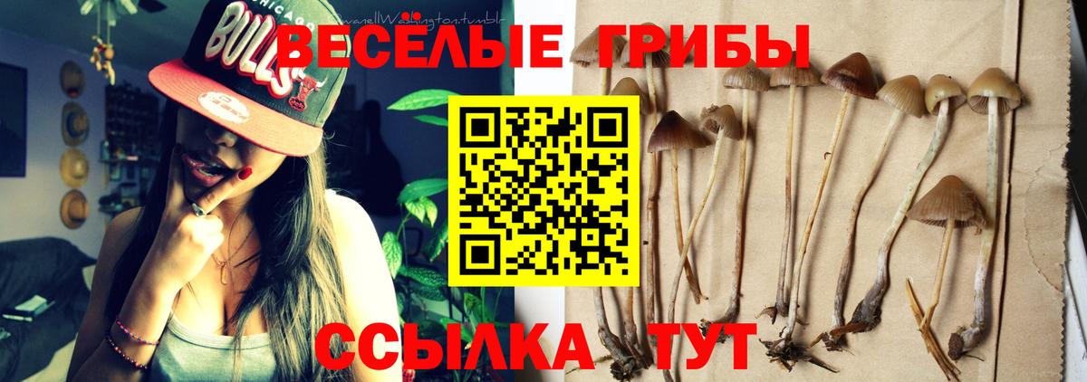 Галлюциногенные грибы Cubensis Алатырь